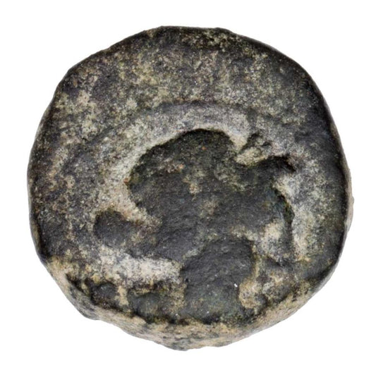 Bronze 196–168 av. J.-C. Grèce Macédoine Pella Apollon