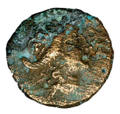 Bronze 185-149 avant JC Prusias II Grèce Bithynie