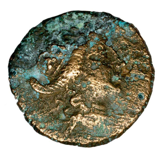 Bronze 185-149 avant JC Prusias II Grèce Bithynie