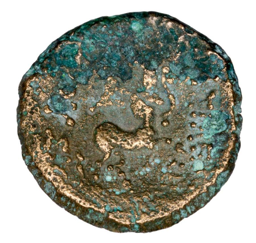 Bronze 185-149 avant JC Prusias II Grèce Bithynie