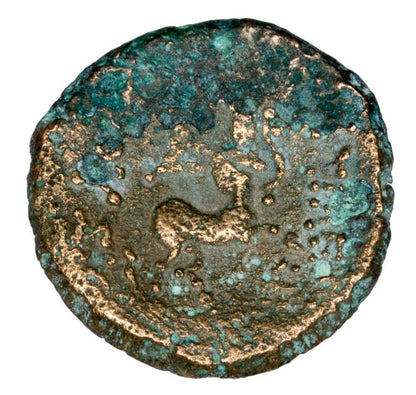 Bronze 185-149 avant JC Prusias II Grèce Bithynie